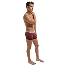 Male Power Panel Short-Red-Large