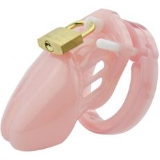 BEBUZZED BDSM Penis Cage Kit Cock Chastity SMALL PINK