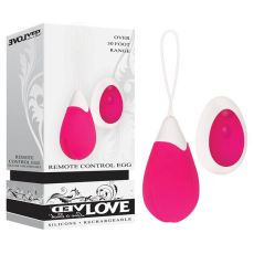 Evolved Remote Control Egg Wearable Vibrator Rechargeable Couples